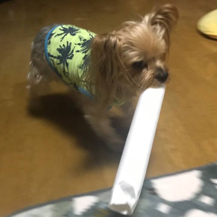 Ae1b72da e555 473e a320 b76a53e618d4 1576228386516