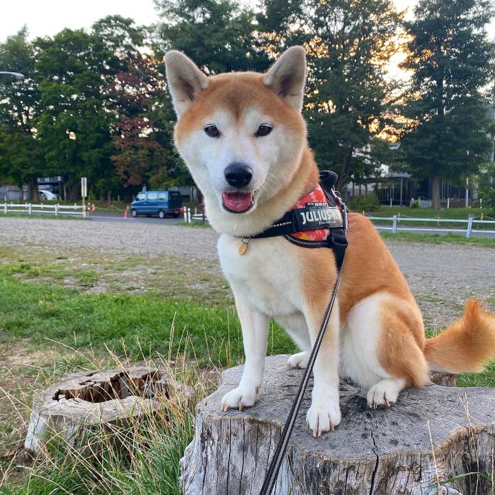 Ae1b80d8 09d1 41c8 9c41 fba3285c8bbe 1630578591468