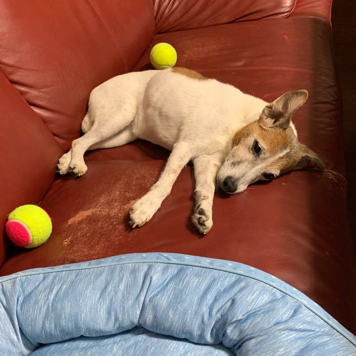 Ae1bbf29 adf1 47b0 9d3d 471a301c80fa 1626876338738