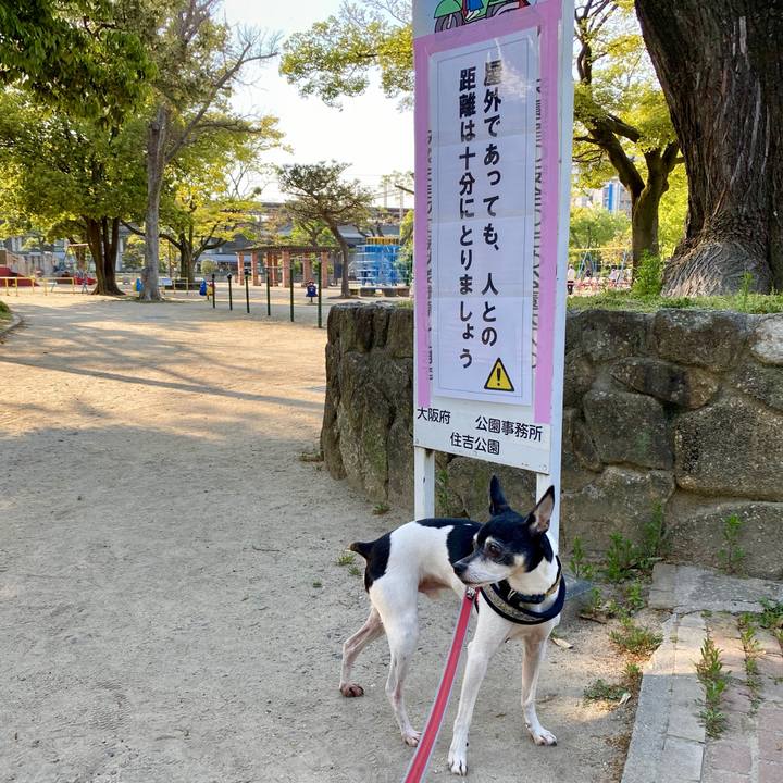 Ae1be8ca fe72 4585 99a7 8853ce06ce3a 1588123759653