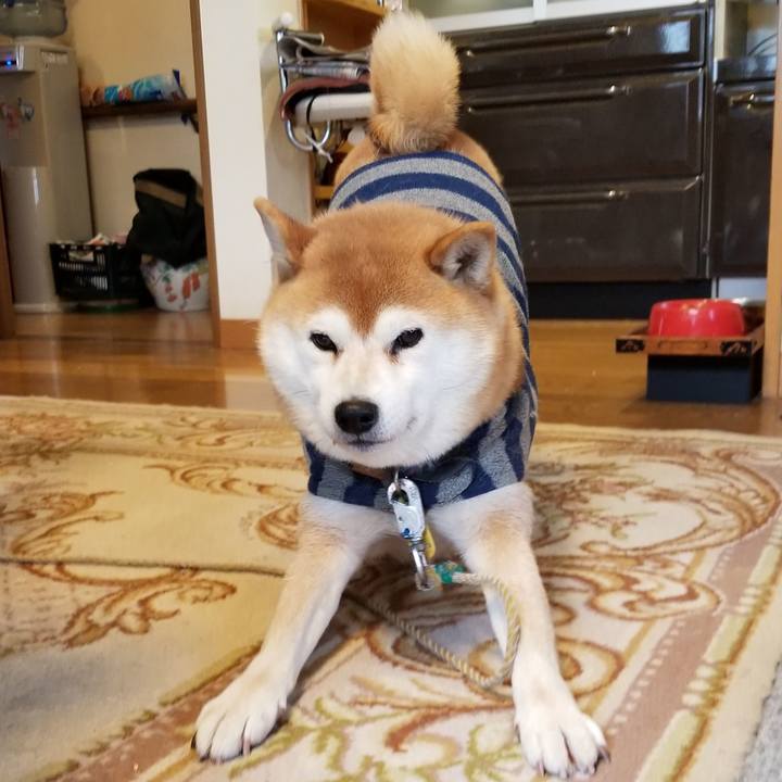 Ae1bf7d3 37e5 42e4 b0c3 7ab0213bc1db 1579309830399