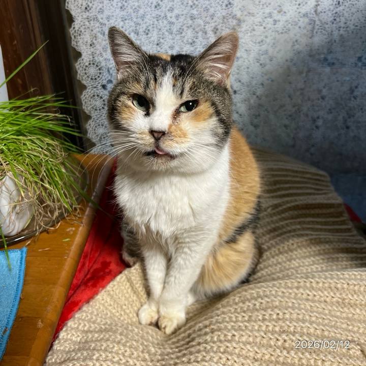 Ae1c0131 c547 4b11 8c4e f09a844291b0 1770847412787