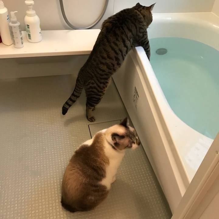 Ae1c4aea ce1b 4d50 9019 71a7fc847743 1510793143700