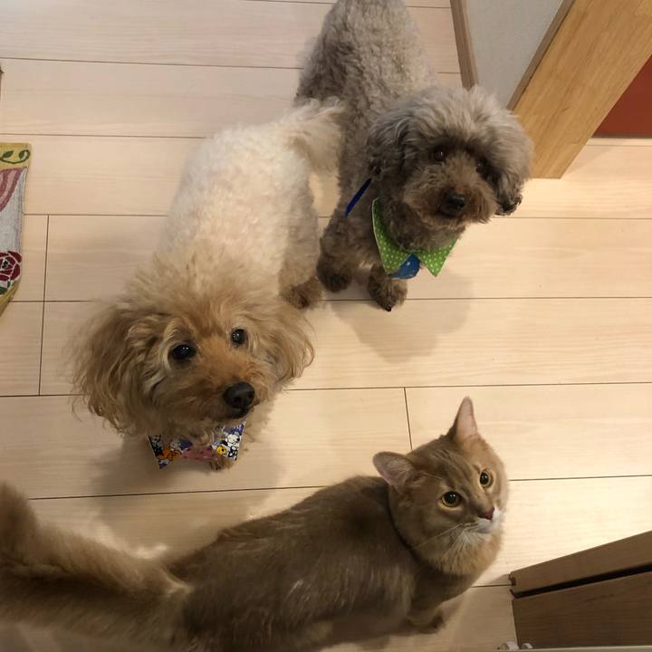 Ae1c575d cd68 471f a102 63110b8680c1 1572226360279