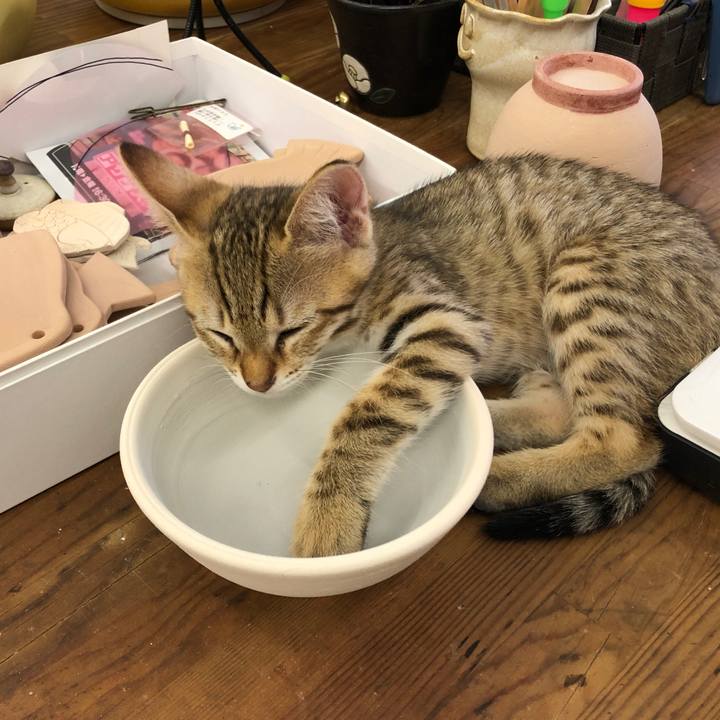 Ae1c71c2 eb0b 4945 bfbf c9401a677759 1577175047623