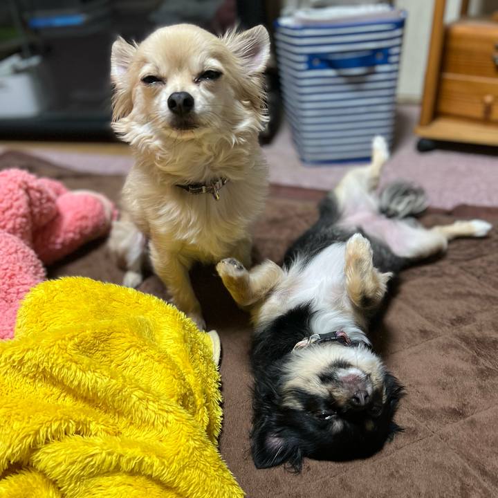 Ae1c82c7 c46e 4633 bc5e 3a57cbf22b49 1645355420166