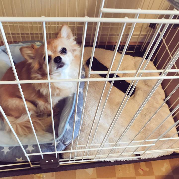 Ae1c940d 49f0 4aee b3cb c9d6a9fa19e3 1540084502435