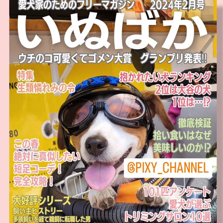 Ae1cfe8b ec16 4ed2 8595 07caeaebfea4 1705725067476