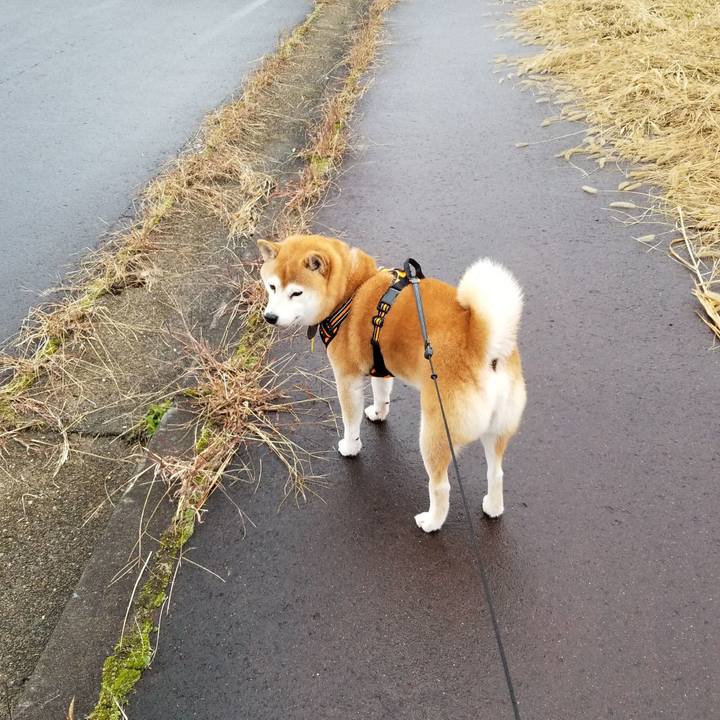 Ae1cff34 2e68 4ee8 a066 5cf125110af5 1604729353757