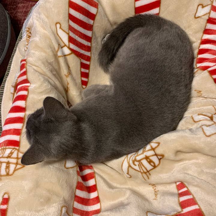 Ae1d2e96 40bc 45e9 8cb5 7d25c2e55ba8 1574926237673