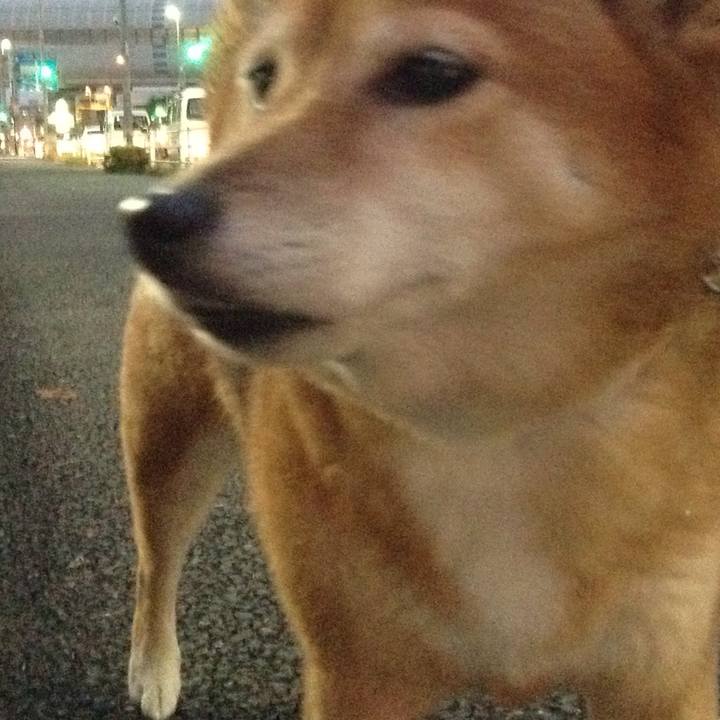 Ae1da699 2ed7 462e 8381 70ee0cac587b 1539592565733