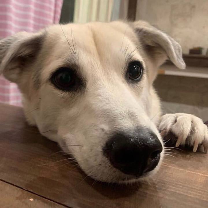 Ae1db5da d919 4854 84ad 5e77e7f639bd 1558009849225