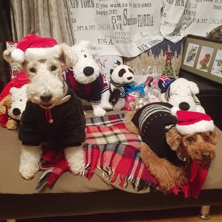 Ae1de66c 6c8a 4a65 878f 0075cb0db701 1577285722438