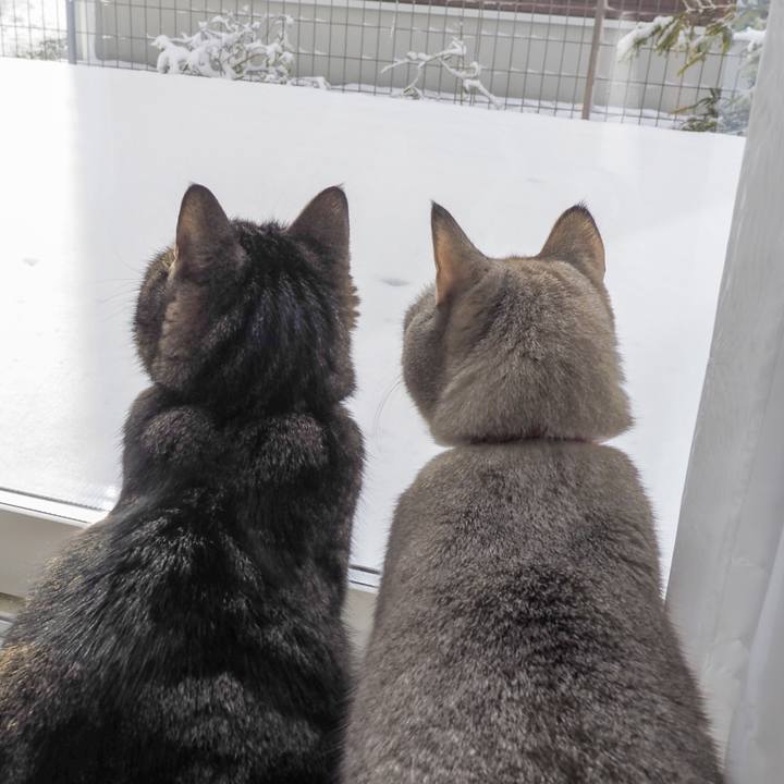 Ae1e36b4 ea7d 425b 9168 f0afded06fdd 1644562831613