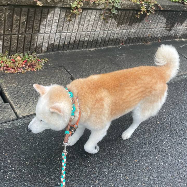 Ae1e59c5 be4f 465e aa89 347295f8ce33 1687474315586