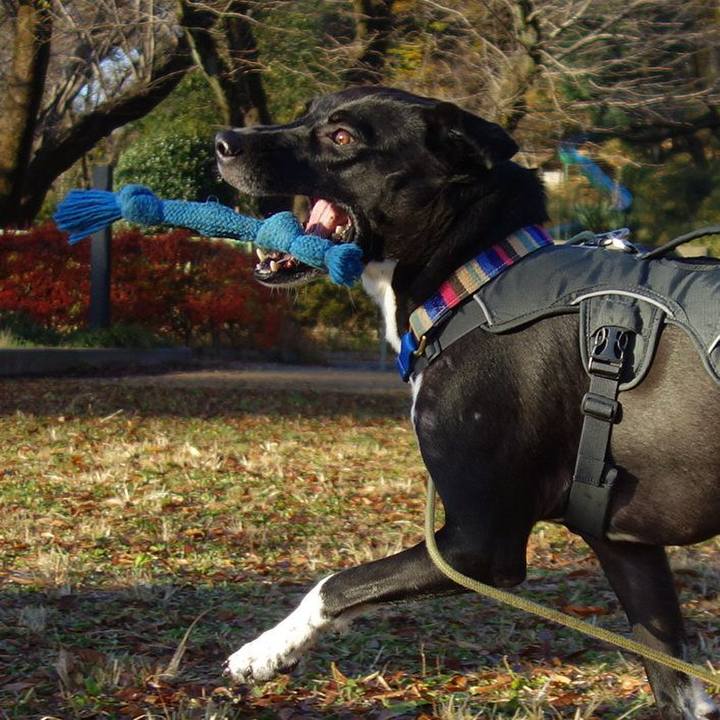 Ae1e66c9 48ad 4fb5 b2f7 cfb3d297a472 1638579625001