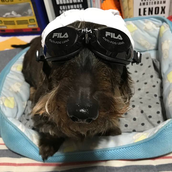 Ae1e6dbb 4c63 41f9 8569 4712835b4d80 1531146422519