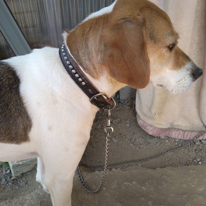 Ae1e9d3b be8e 4b8b b579 bd40af4da8fb 1653395820301