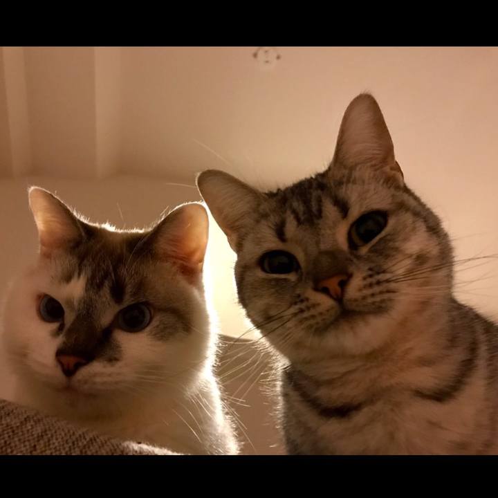 Ae1ea129 58d9 47a6 b23f 7be54aa0dac2 1541063115659