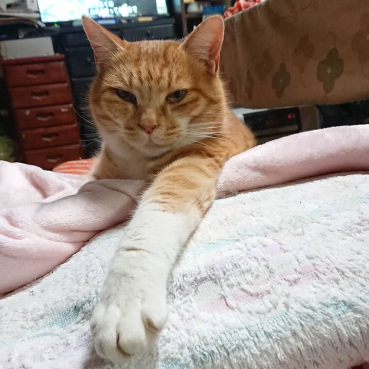 Ae1ec1a2 89fa 45e8 8284 6d3034198a63 1608627396093