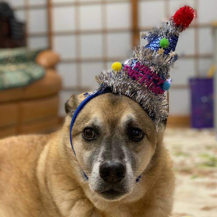 Ae1efcd8 73a3 4efe a162 e62bd9d2b3c2 1575202553710