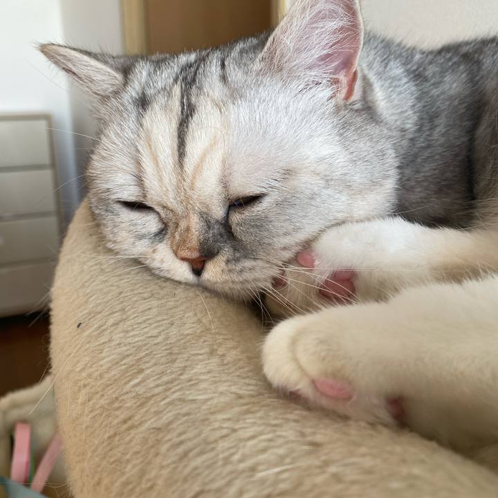 Ae1f137f f2ce 45a7 9356 d1a72593b61c 1764285483850