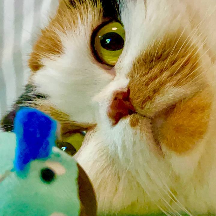 Ae1f228f d0a0 4a99 acd2 9087e6d05772 1652706159735