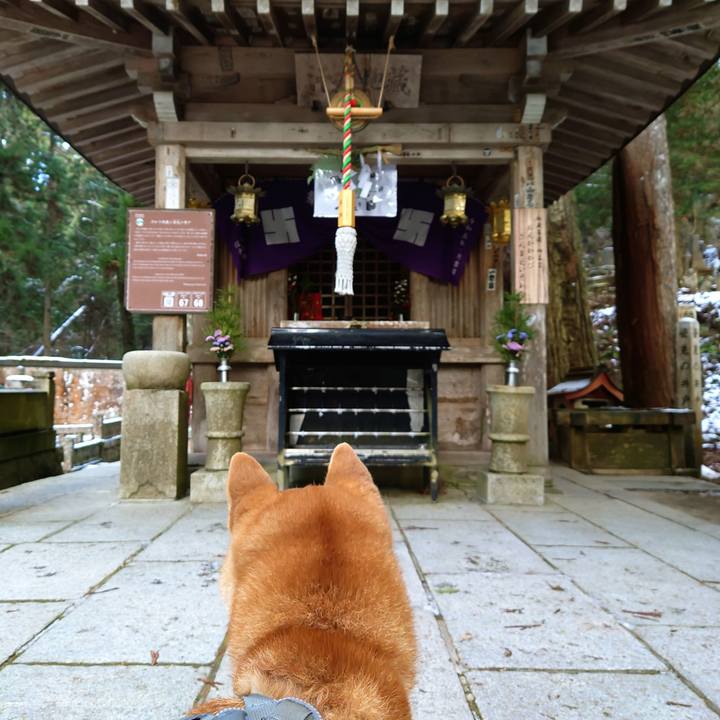 Ae1f3039 0ac3 4134 a15b 124a7044345f 1767058435196