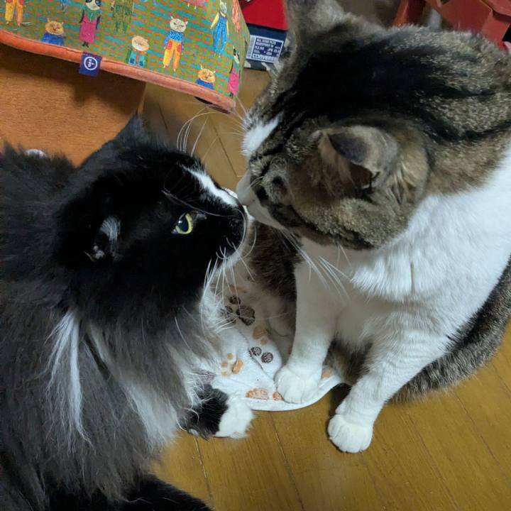 Ae1f305e 4d6a 4a16 9d9f cf1f7c1153e5 1765698629897