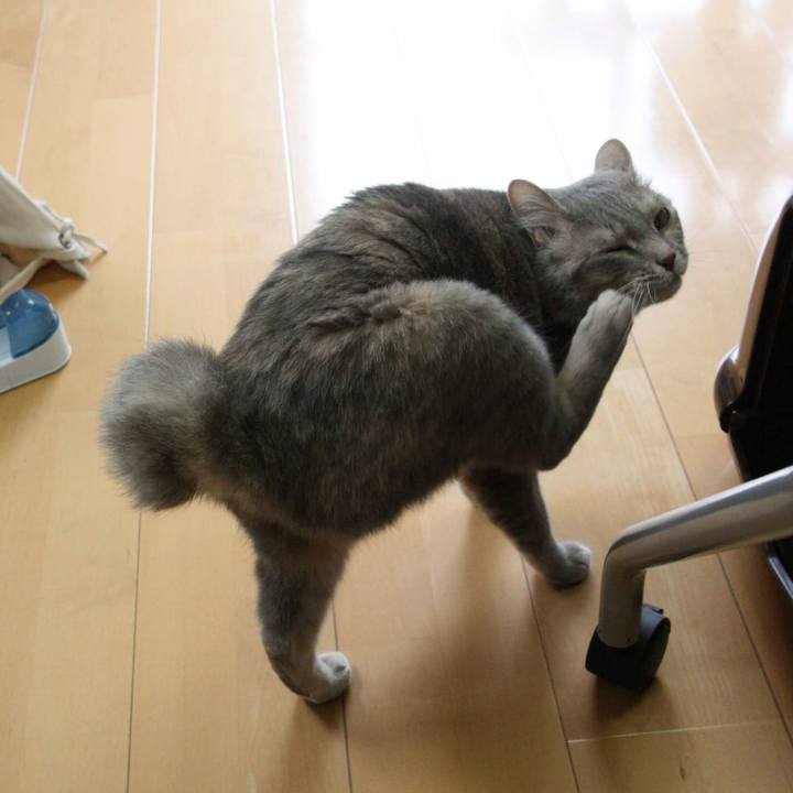 Ae1f3f8e 8074 492e a956 f689b62d12ca 1560846504795