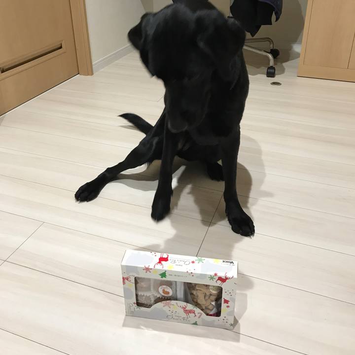 Ae1f434d 7e42 4d12 9ecb 1525f3029412 1514153950253