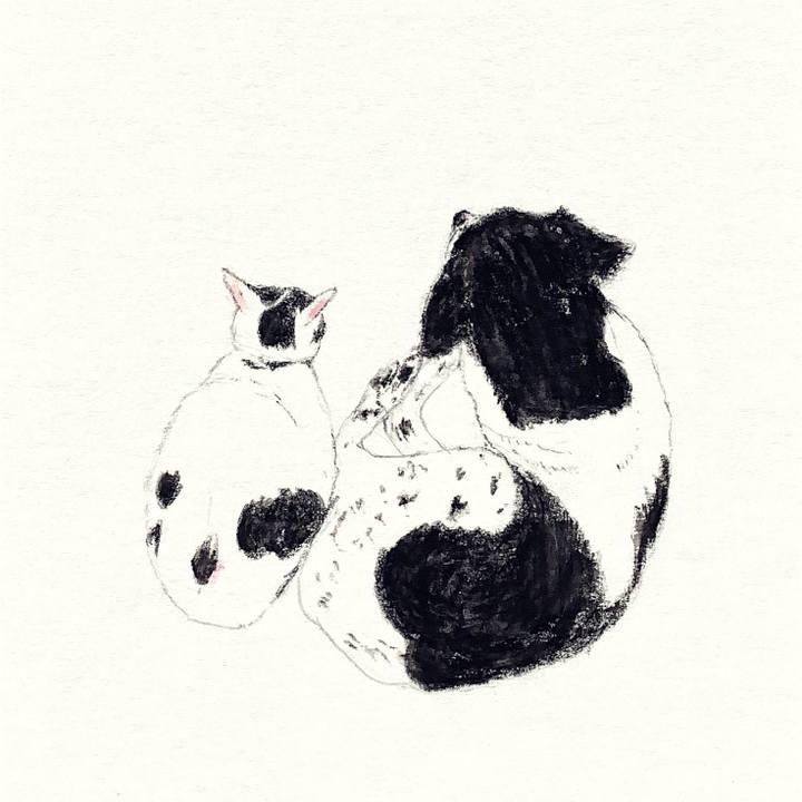 Ae1f449e 5a5c 421c abfc 8c04b4c5f3b0 1653544852547