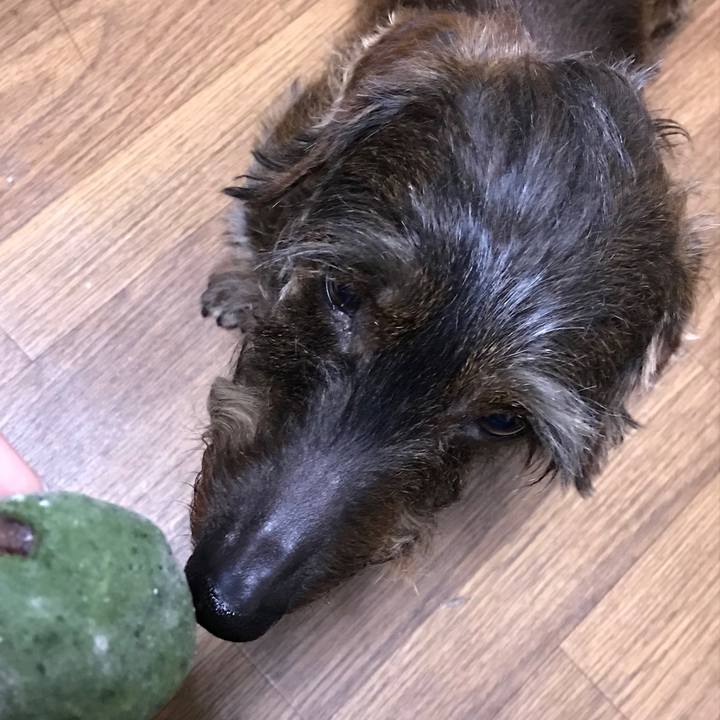 Ae1f4d44 3698 4213 af60 8575f34852f2 1523195287142