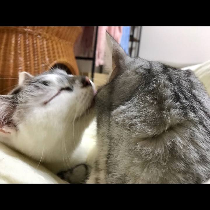 Ae1f6791 4b22 499f 8591 706862046f46 1514990107432