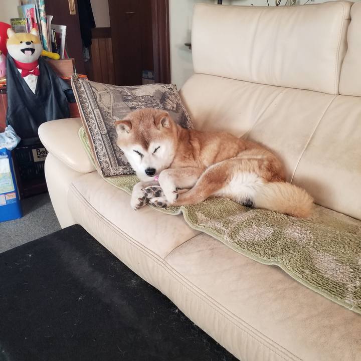 Ae1f6f56 f757 4a2d b0d8 b66723dd4ea2 1769471265146