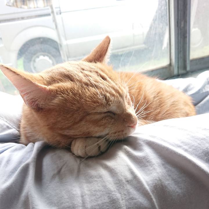 Ae1f9015 83ce 4c0f 9fd9 36d57d395dd1 1572156562101