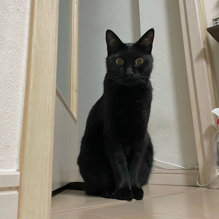 Ae1fdd9a c362 485e b4d0 139427c59198 1665580644635