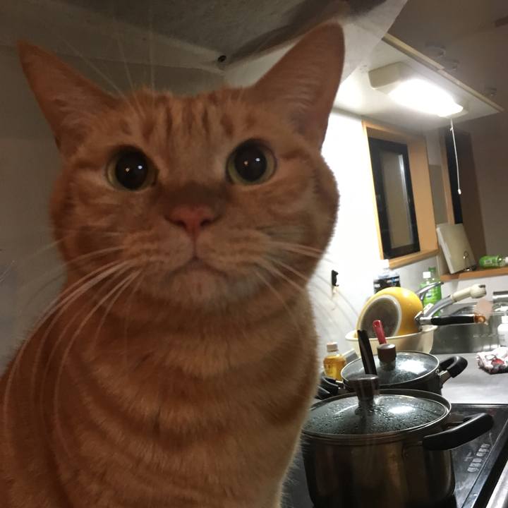 Ae1feb6d d177 46ce b0d8 974aa3f98eec 1513166952945