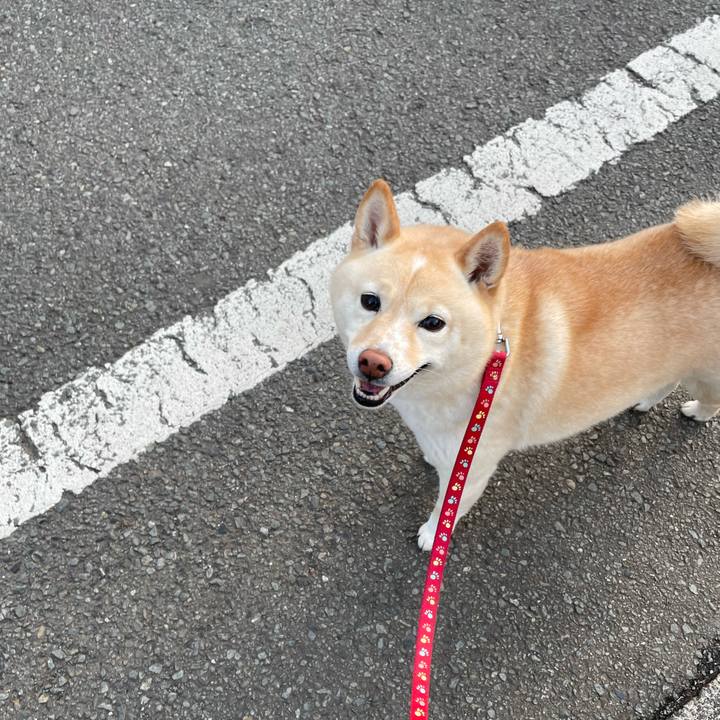 Ae1fecf7 9faf 4bfd 902e d9da6107e084 1709331042308