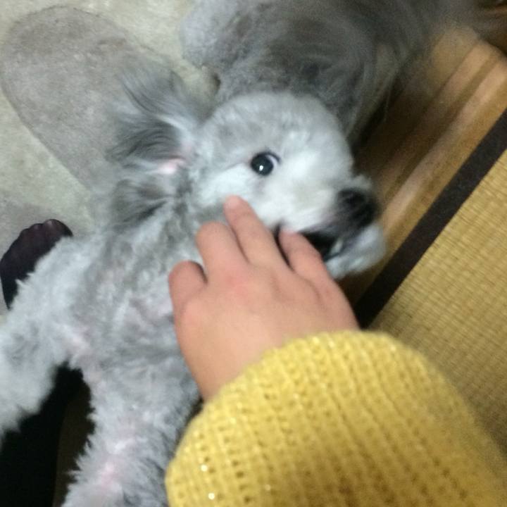 Ae201963 04a0 4b88 9eb4 2a0995fa7867 1764635506540