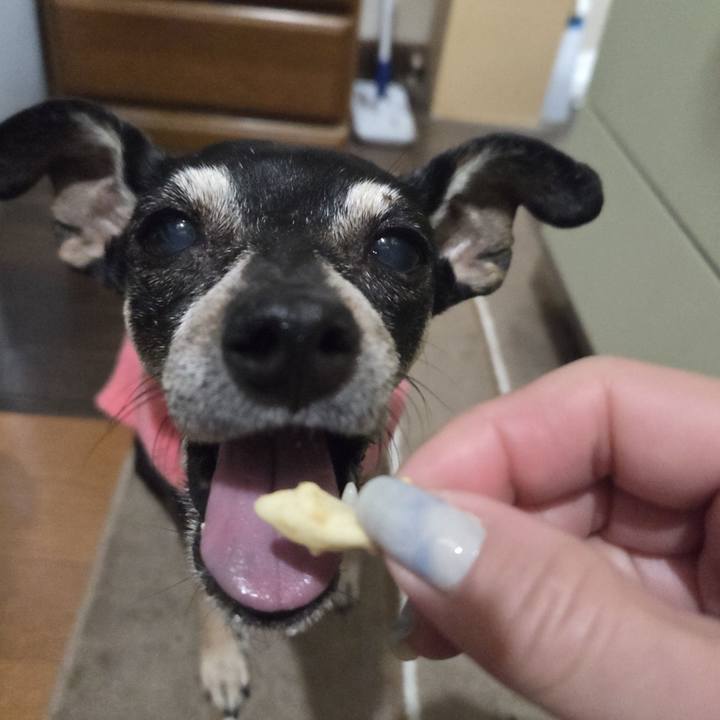 Ae201be8 4ebc 4144 8063 1b0364414a76 1771703378293