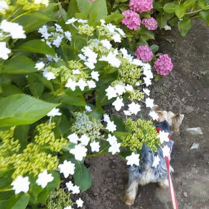 Ae202481 d163 4edb 9141 eb18b0cccf2d 1623562065600