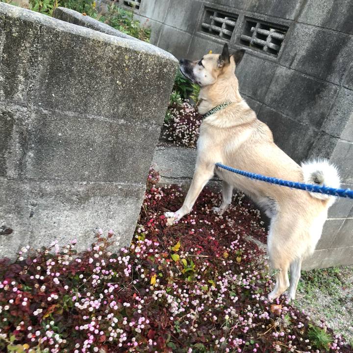 Ae202804 47c1 4e8b 88da 9ce16330b16d 1607600678378