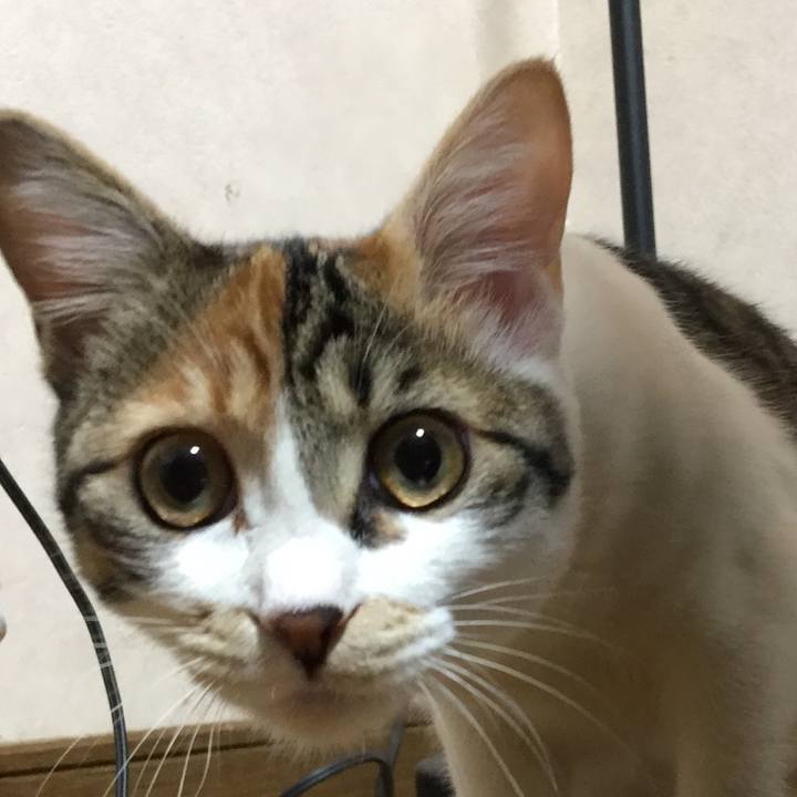 Ae205773 fba1 4105 8724 3b6ca0f18637 1644230395828