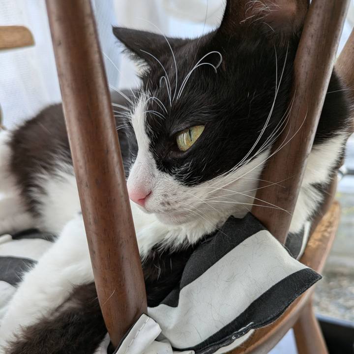 Ae207f81 f897 402c 828f 8695181abb69 1729294976125