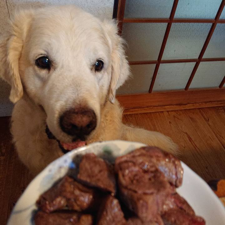 Ae209e6d 25b6 4ae7 9365 de218f11a0a1 1566042097497