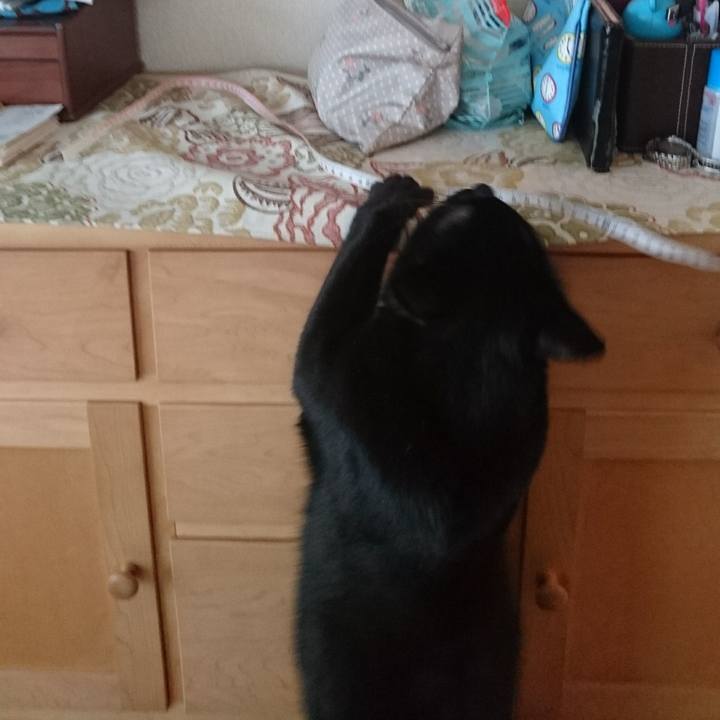 Ae20b41a 0758 476b a9c3 0015cf1f01fb 1514679954566