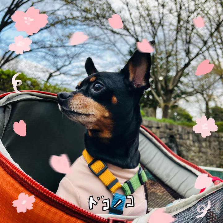 Ae20d896 0bd0 4f16 91b4 ecada6d6a213 1744465890749