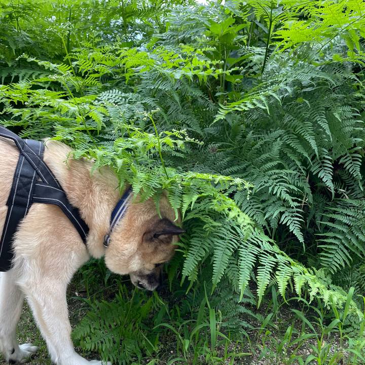 Ae20ec8e 90c0 48c9 a08c 0bd4d9eae7c1 1720095454364