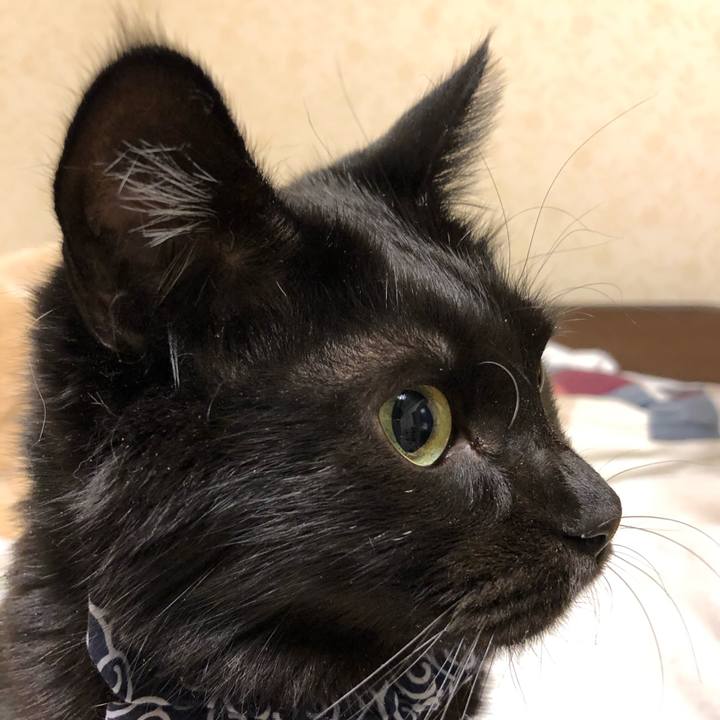 Ae20ef2d c924 4372 a3c1 3cf456fb19d0 1576876321988